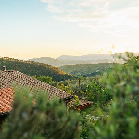 Agriturismo La Burlanda فوسدينوفو المظهر الخارجي الصورة
